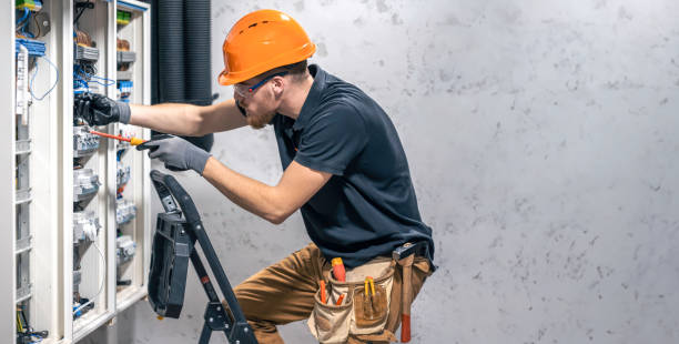 Best Electric Panel Repair  in Woodsi East, DE